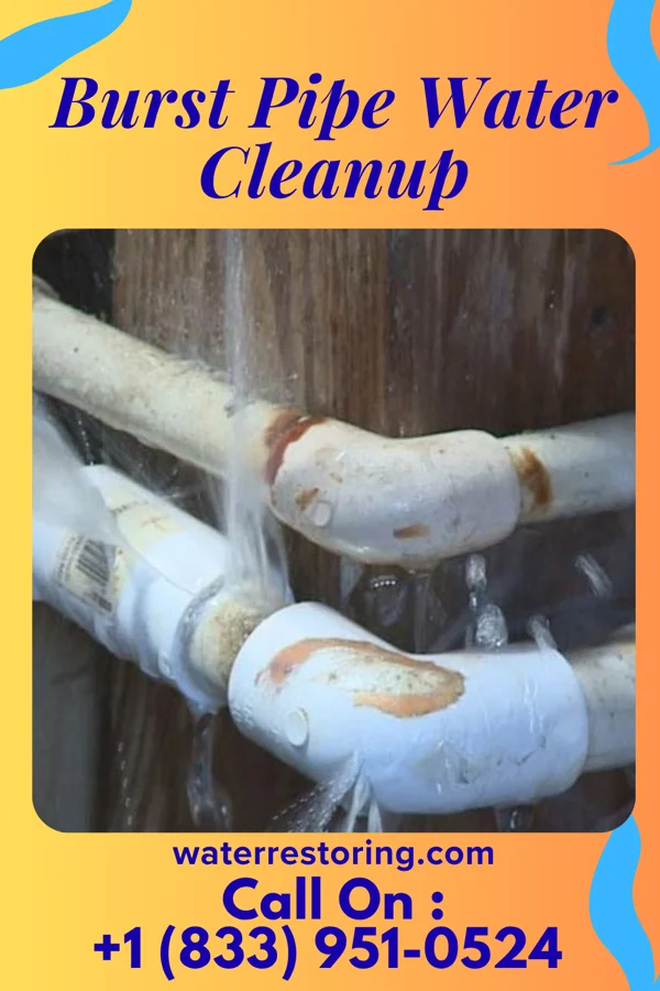 Burst Pipe Water Cleanup in Youngstown, NY