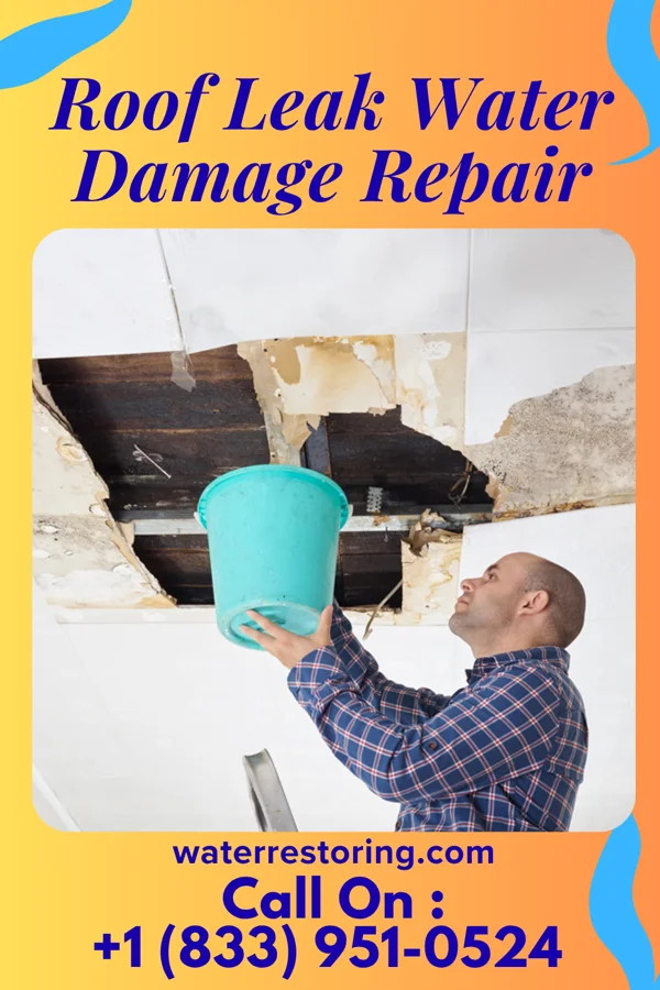 Roof Leak Water Damage Repair in Youngstown, NY