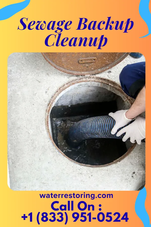 Sewage Backup Cleanup in Youngstown, NY