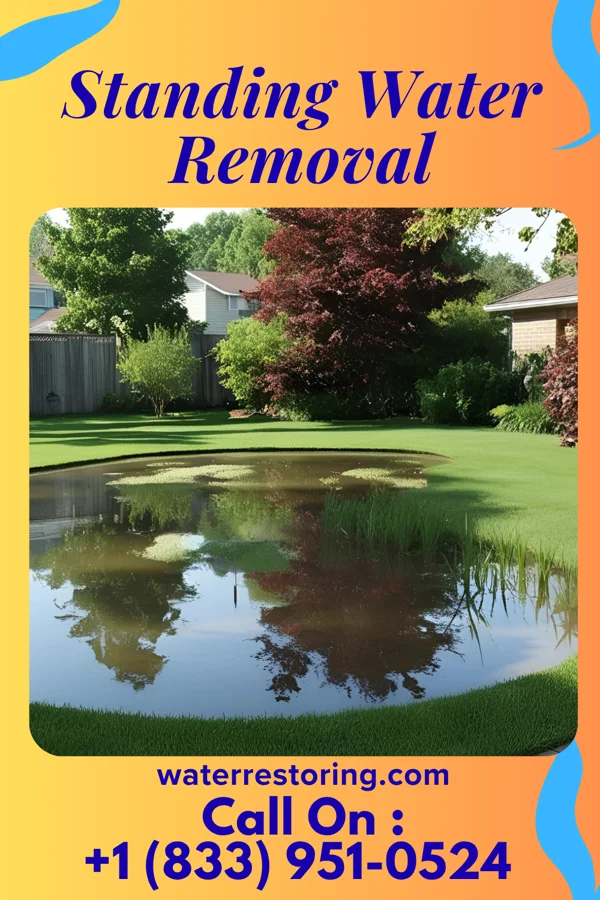 Standing Water Removal in Youngstown, NY